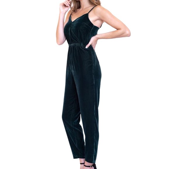 NWT Cupcakes & Cashmere Budapest Velvet Jumpsuit L - Picture 2 of 14